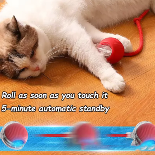 Self-Play Cat Toy – Hanging Teasing Ball for Endless Fun & Exercise - Image 3