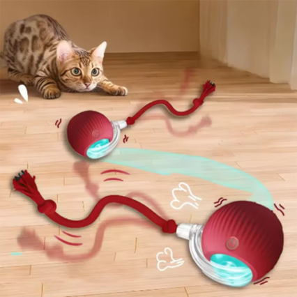 Self-Play Cat Toy – Hanging Teasing Ball for Endless Fun & Exercise