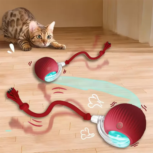 Self-Play Cat Toy – Hanging Teasing Ball for Endless Fun & Exercise