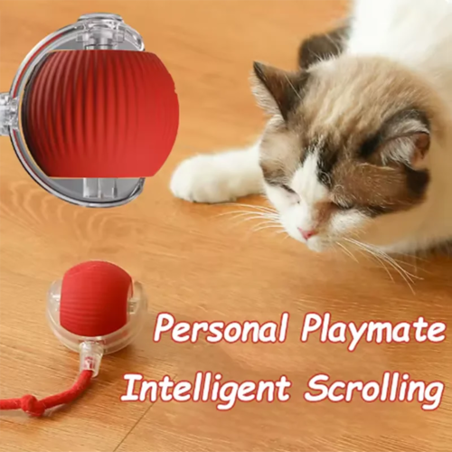 Self-Play Cat Toy – Hanging Teasing Ball for Endless Fun & Exercise - Image 2