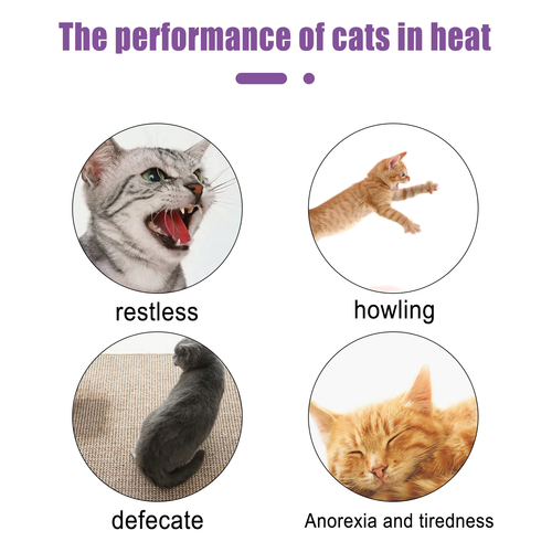 Natural Pet Calming & Estrus Support Spray 50ml – Anxiety & Mood Soothing Spray for Cats and Dogs - Image 5