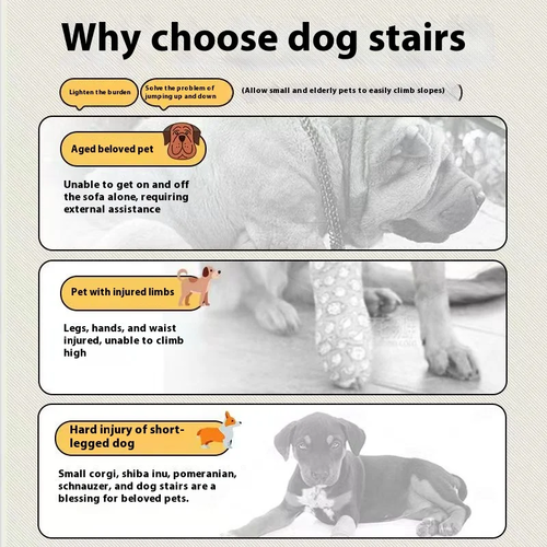 BoneShape Orthopedic Pet Stairs – Joint Support Design - Image 6
