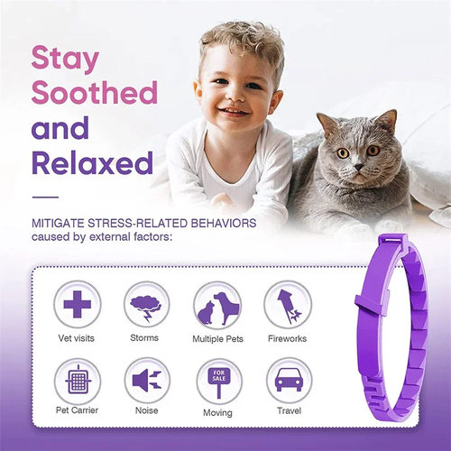 Dog & Cat Calming Collar for Anxiety Relief | Adjustable Waterproof Pet Collar with Natural Essential Oils - Image 5