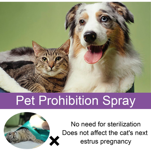 Natural Pet Calming & Estrus Support Spray 50ml – Anxiety & Mood Soothing Spray for Cats and Dogs - Image 2