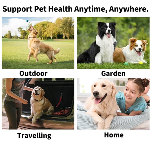 Pet Eye Wipes – Gentle & Effective Care - Image 6