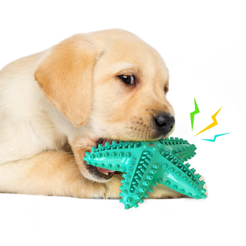 Starfish Dog Toothbrush Chew Toy | Interactive Dental Cleaning Toy for Small & Medium Dogs - Image 4