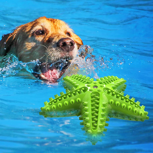 Starfish Dog Toothbrush Chew Toy | Interactive Dental Cleaning Toy for Small & Medium Dogs - Image 2