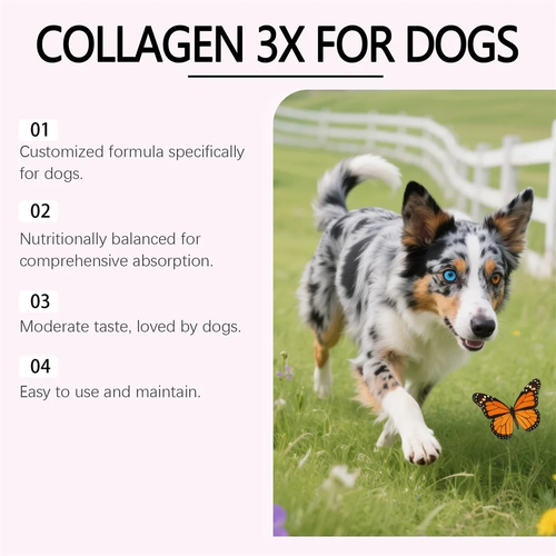 Premium Collagen Drops for Dogs | Skin, Coat & Joint Support - Image 5