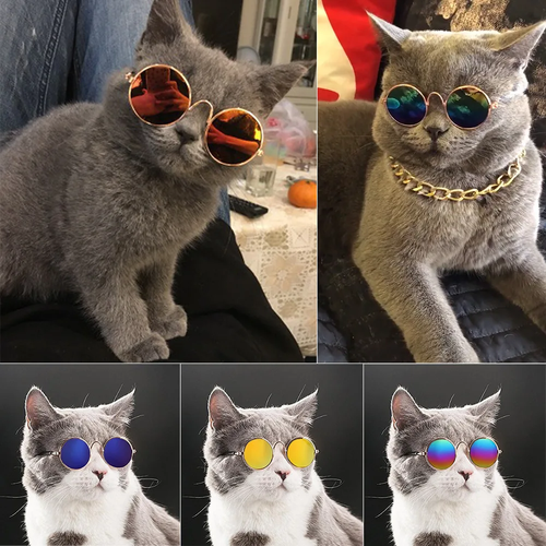 Vintage Round Pet Glasses | Stylish Photo Prop for Dogs & Cats - Image 5