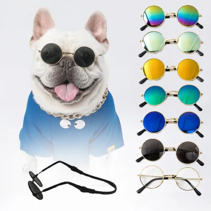 Vintage Round Pet Glasses | Stylish Photo Prop for Dogs & Cats
