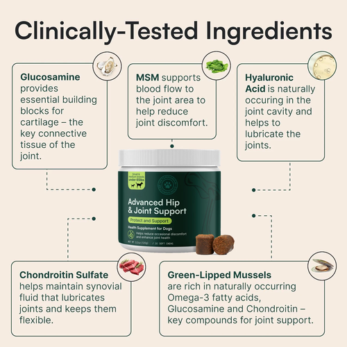 Advanced Hip and Joint Supplement for Dogs with Glucosamine, Omega 3 and MSM - Image 4