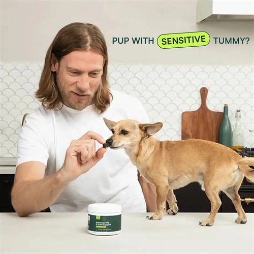 Advanced Hip and Joint Supplement for Dogs with Glucosamine, Omega 3 and MSM - Image 6