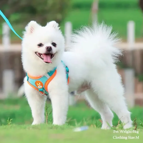 Reflective Suede Pet Harness Vest with Leash for Small Dogs and Cats - Image 2