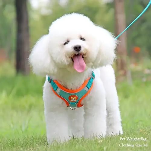 Reflective Suede Pet Harness Vest with Leash for Small Dogs and Cats - Image 3