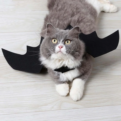 Black Bat Wings Harness Costume for Cats & Dogs - Image 5
