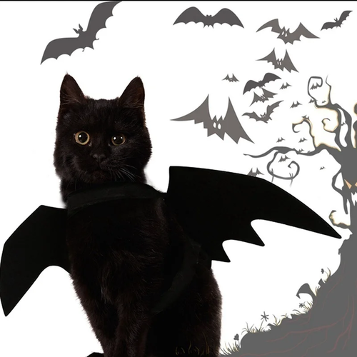 Black Bat Wings Harness Costume for Cats & Dogs - Image 4