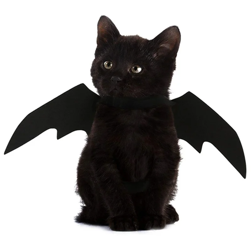 Black Bat Wings Harness Costume for Cats & Dogs - Image 3
